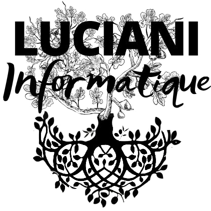 LUCIANI informatique