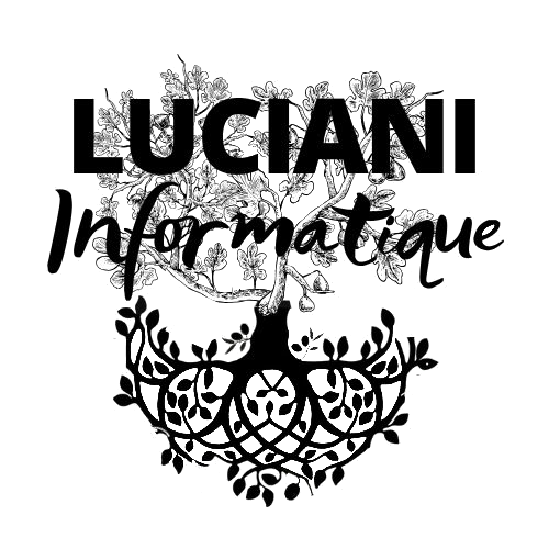 LUCIANI informatique