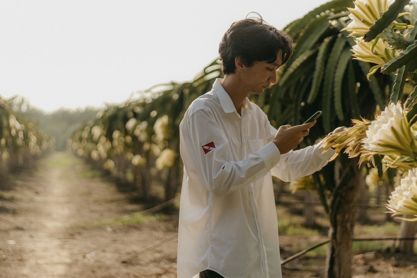 Photo by Kawê Rodrigues a man standing in a banana field holding a cell phone