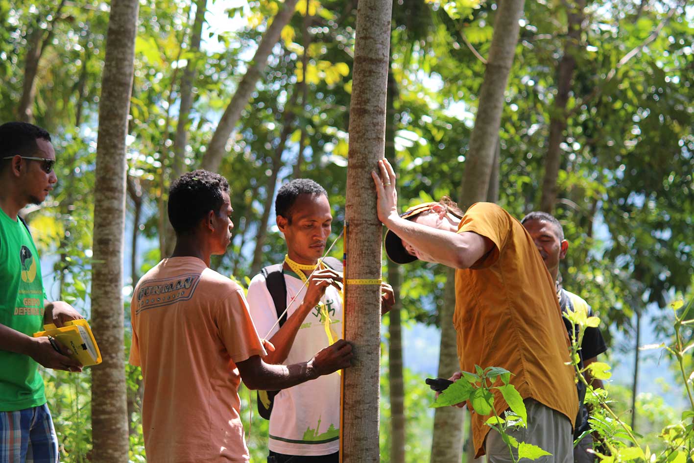 reforestation