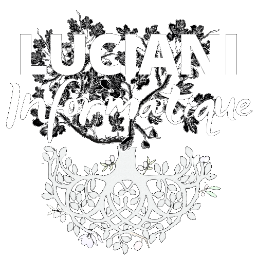LUCIANI informatique blanc_transparent